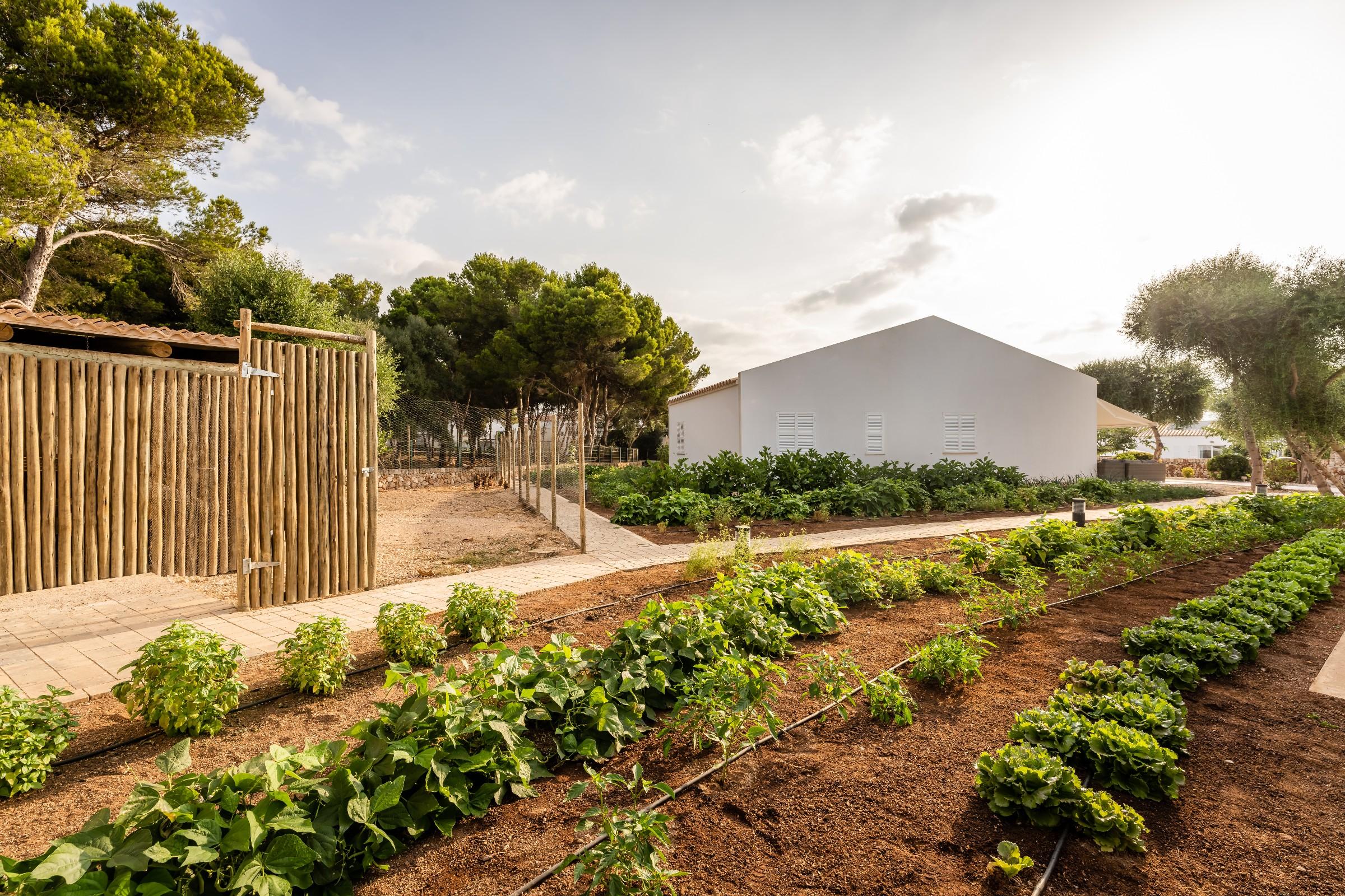 Lago Resort Menorca - Villas & Bungalows Del Lago Cala 'n Bosch Buitenkant foto